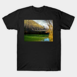 Bridge Over Green Water T-Shirt